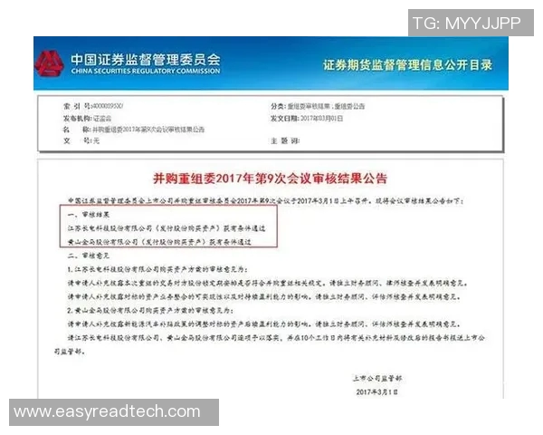 探索国内知名体育品牌的创新之路与市场影响力分析