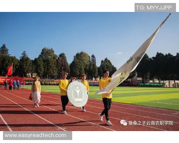 塘田市篮球明星崛起之路：从青涩少年到职业赛场的辉煌历程